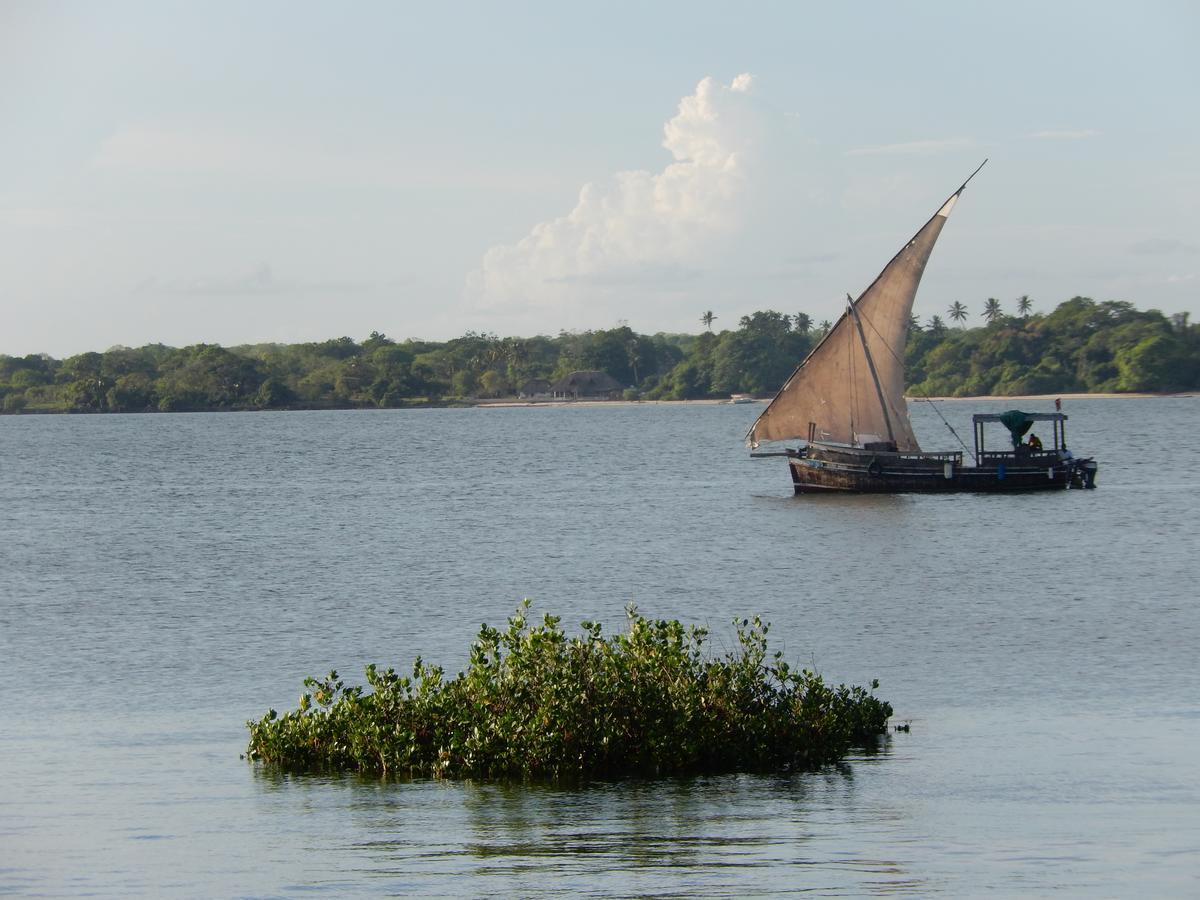 Blue Monkey Beach Cottages Shimoni Eksteriør billede