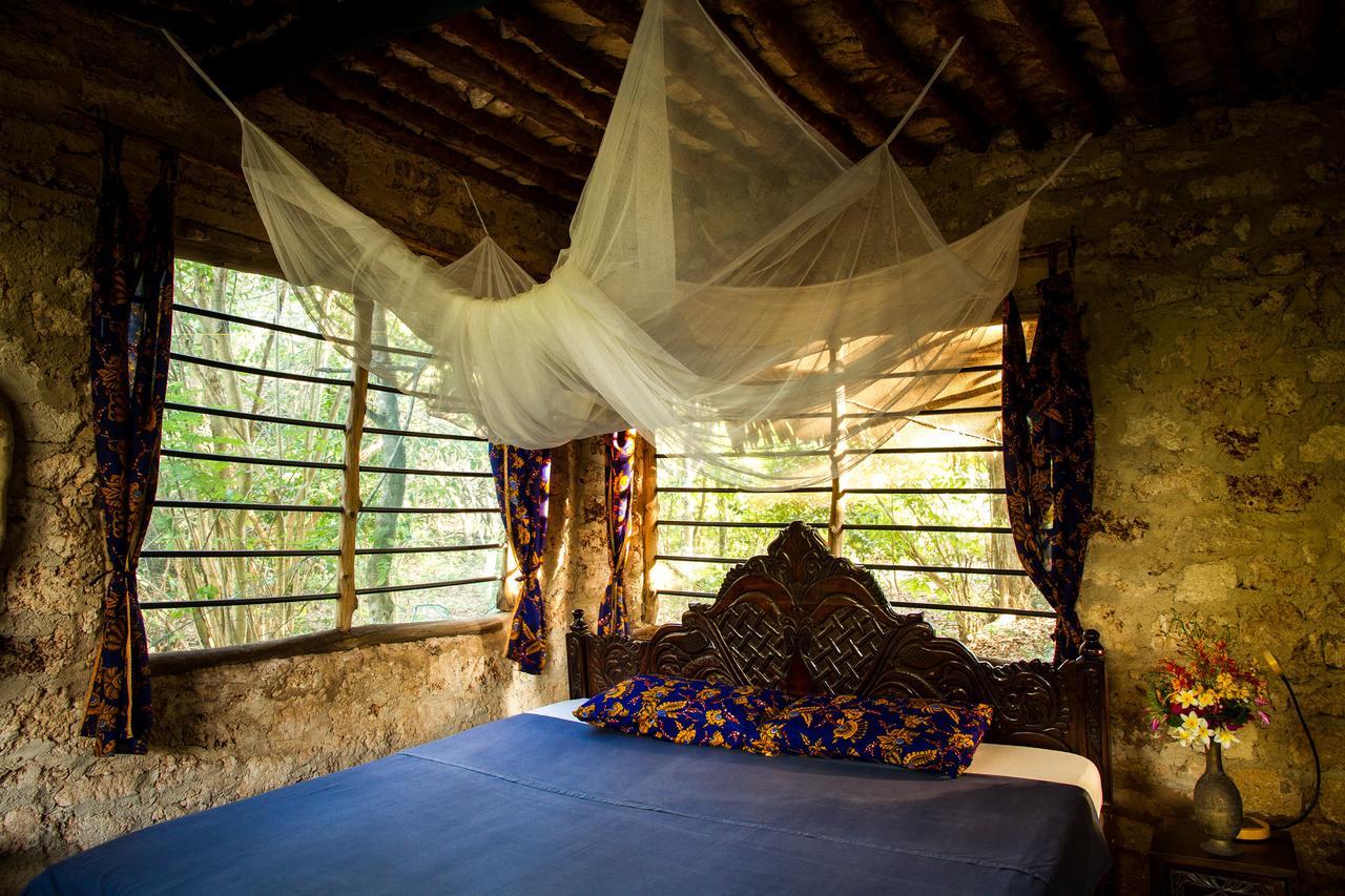 Blue Monkey Beach Cottages Shimoni Eksteriør billede