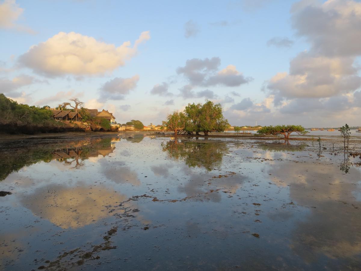 Blue Monkey Beach Cottages Shimoni Eksteriør billede