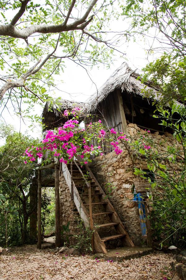 Blue Monkey Beach Cottages Shimoni Eksteriør billede